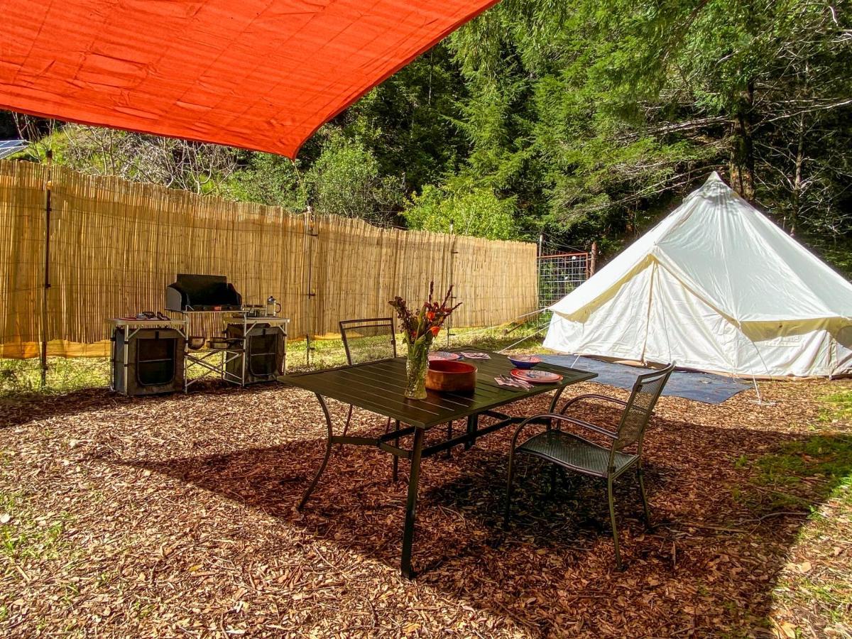 Hotel Glamping In The Redwoods With A Hot Tub! Garberville Zewnętrze zdjęcie