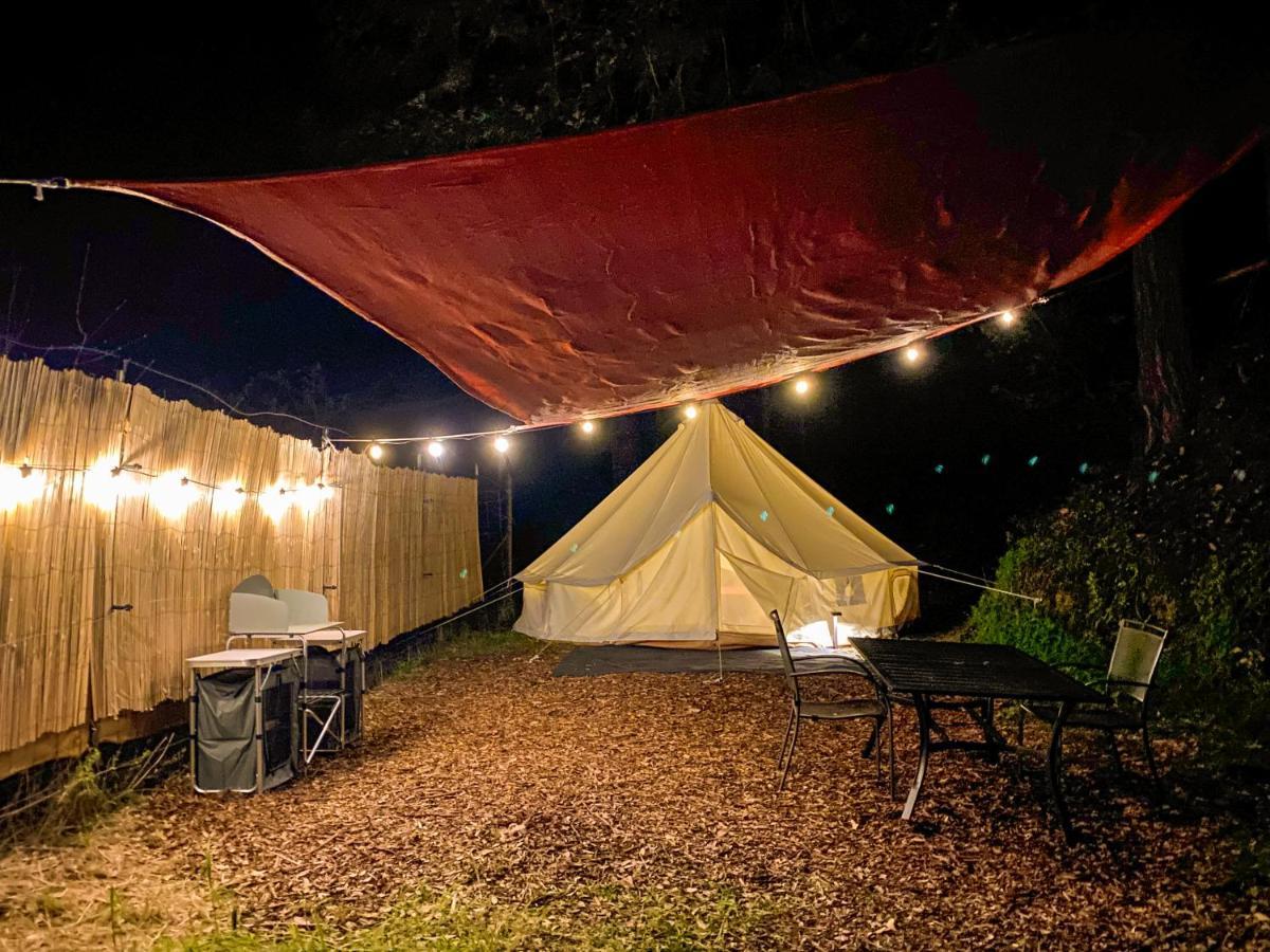 Hotel Glamping In The Redwoods With A Hot Tub! Garberville Zewnętrze zdjęcie