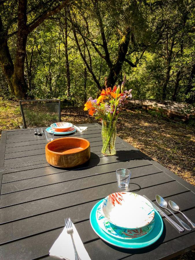 Hotel Glamping In The Redwoods With A Hot Tub! Garberville Zewnętrze zdjęcie