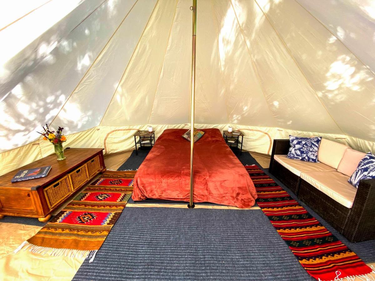 Hotel Glamping In The Redwoods With A Hot Tub! Garberville Zewnętrze zdjęcie