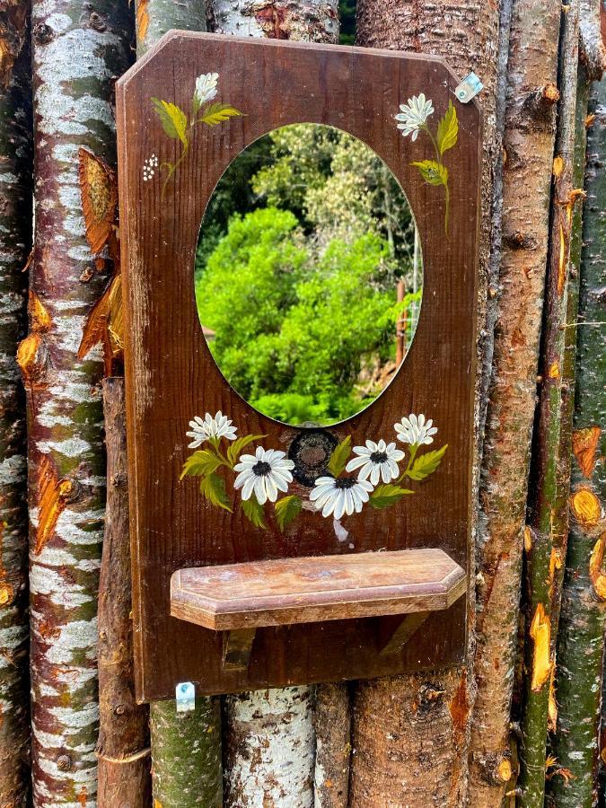 Hotel Glamping In The Redwoods With A Hot Tub! Garberville Zewnętrze zdjęcie